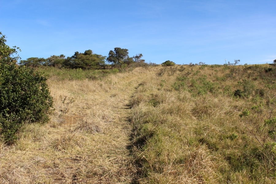 0 Bedroom Property for Sale in Khamanga Bay Eastern Cape